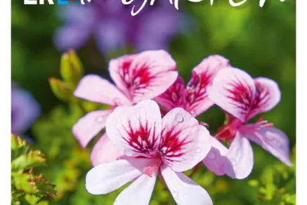 Titel der Sommerausgabe